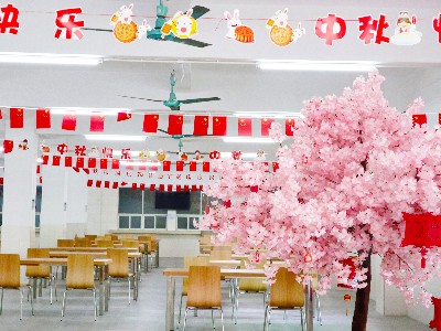 BB����-��������