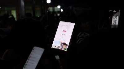 ��ϵ��������������