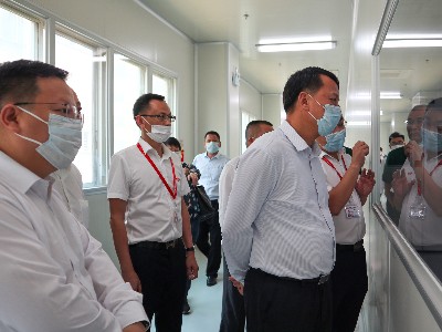 �ع����������쵼ݰ��BB����