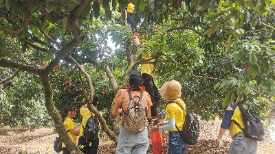 ���縣����BB������֯ժ��֦�˶�