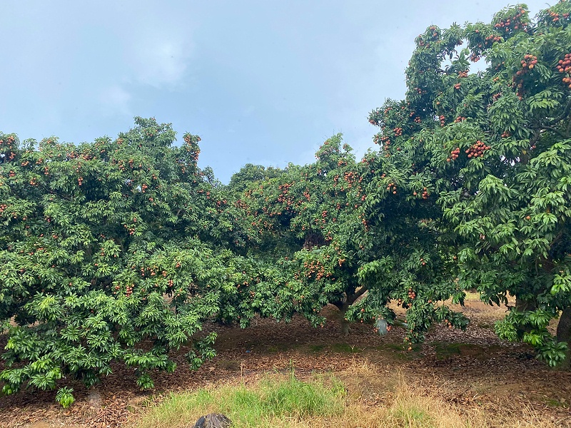 ���縣����BB������֯ժ��֦�˶�